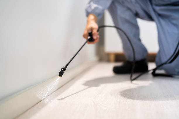 Licensed Rodent Control service in Troutman, NC - Nex Pest Control