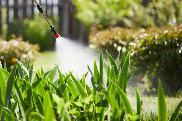 24/7 Emergency Rodent Control experts in Troutman, NC