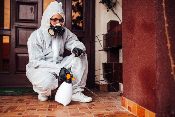 Reliable Rodent Control contractor in Troutman, NC by Nex Pest Control